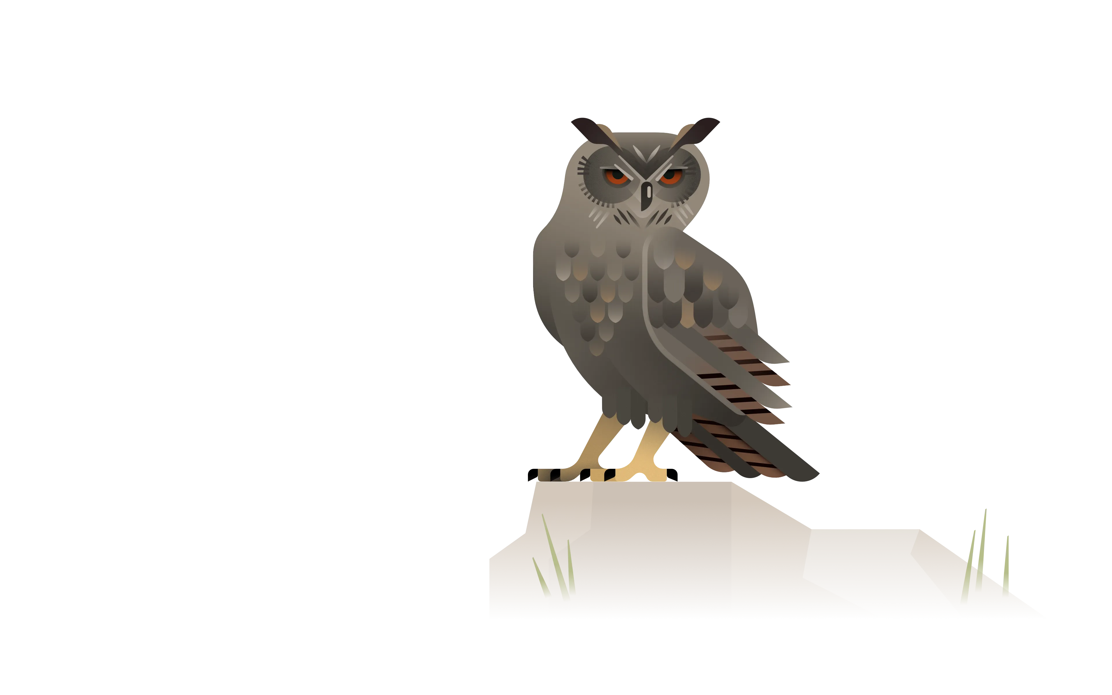 eagle owl illustration