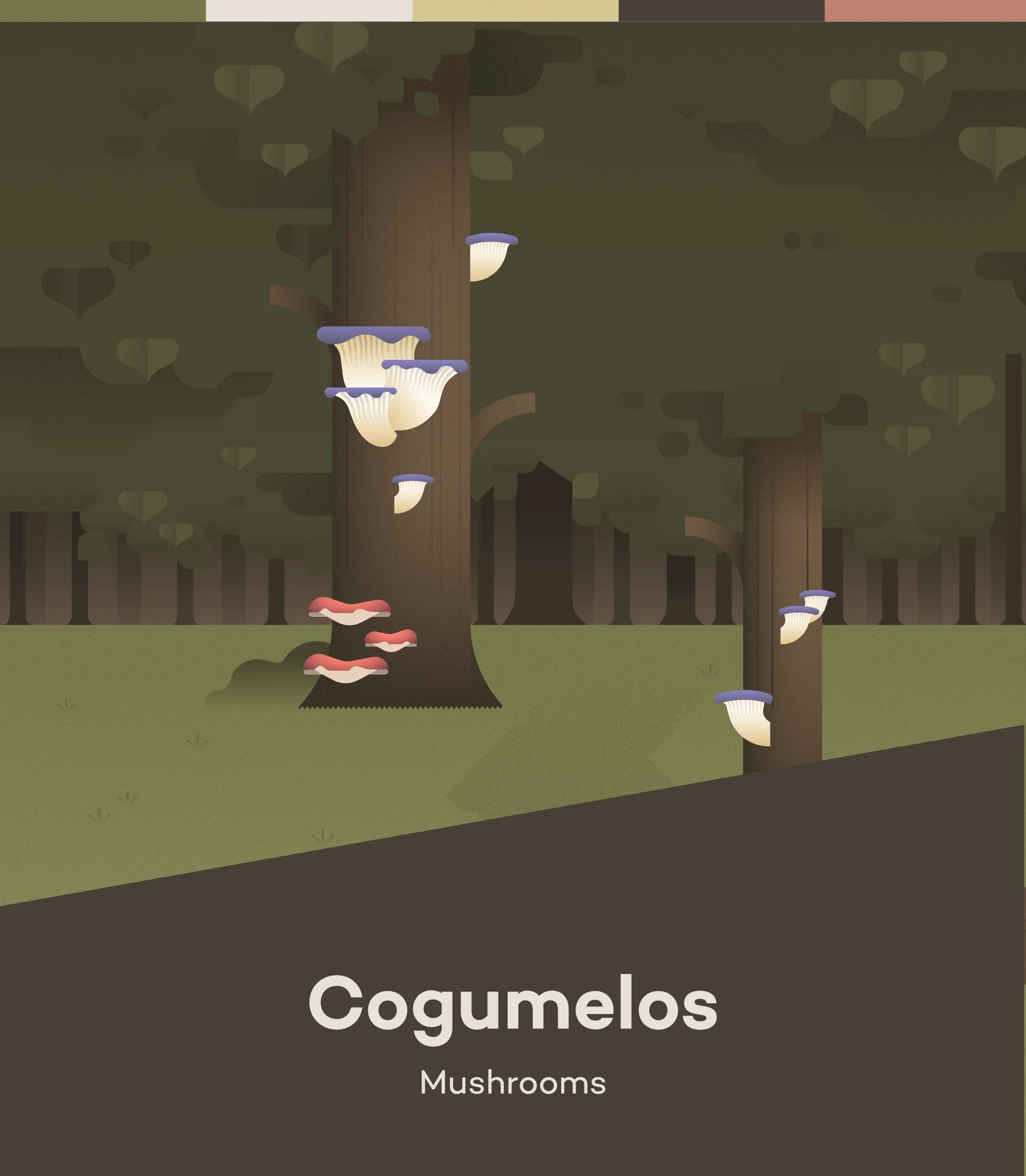 The process of making mushrooms illustrated in various steps