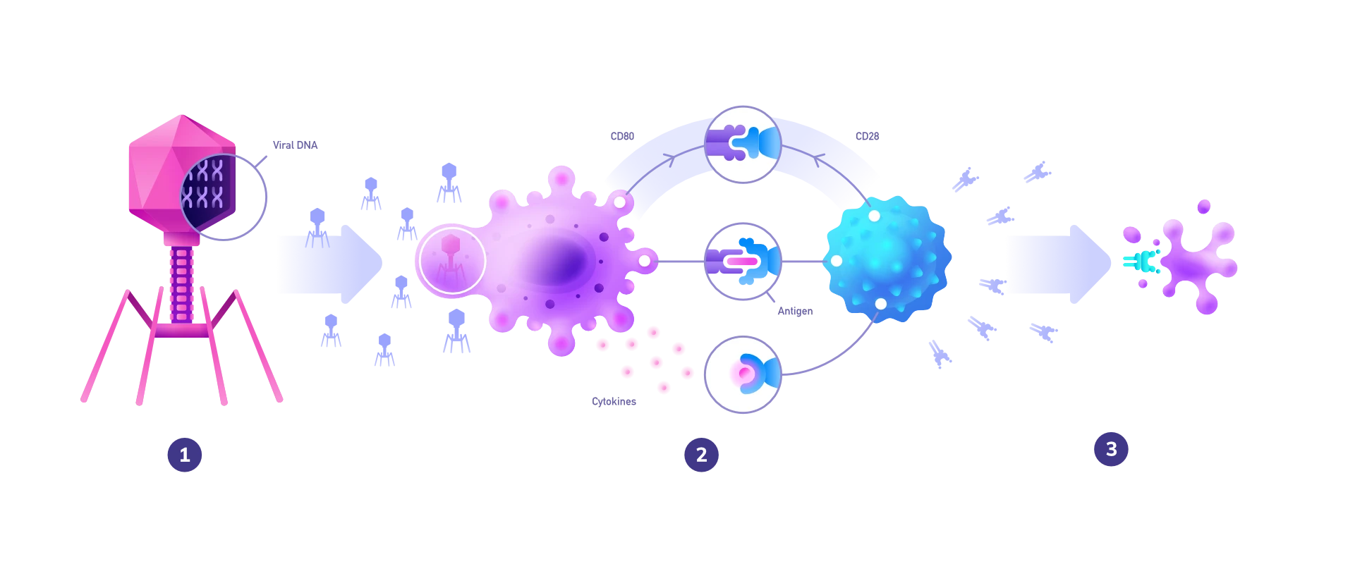 Creation island for YouTube project